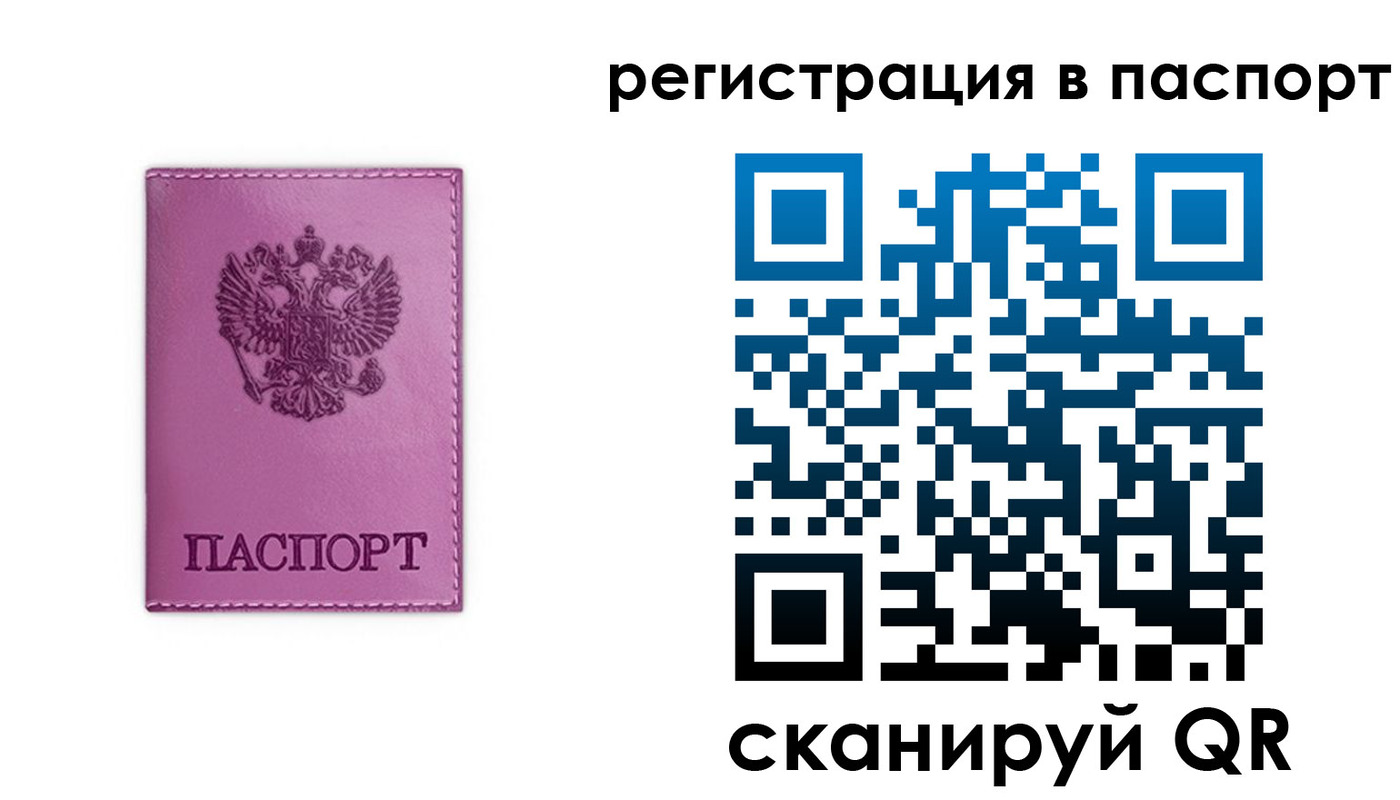 прописка в Кольчугино